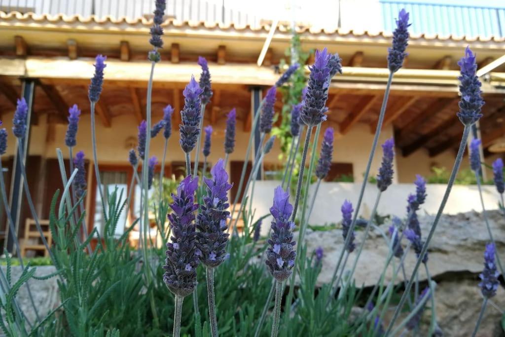 Finca Rural S'Estepa Palma de Mallorca Bagian luar foto