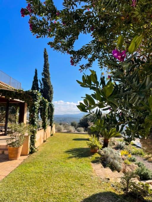 Finca Rural S'Estepa Palma de Mallorca Bagian luar foto