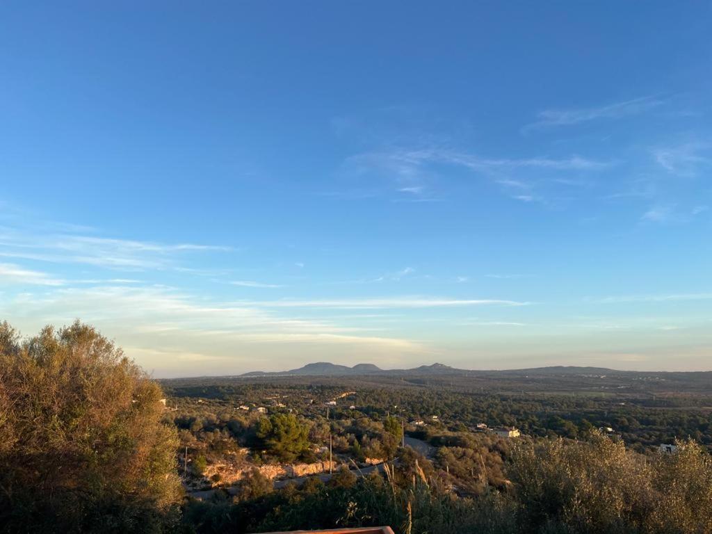 Finca Rural S'Estepa Palma de Mallorca Bagian luar foto